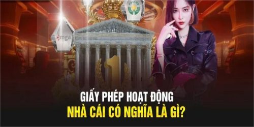 Giấy phép hoạt động